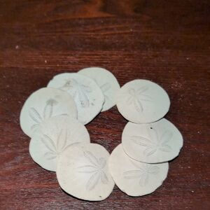 Set of Sand Dollars (8)